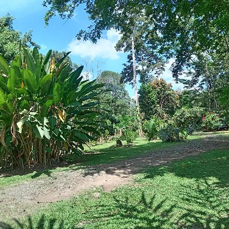 Glamping Naioth Apartment Guapiles Exterior photo