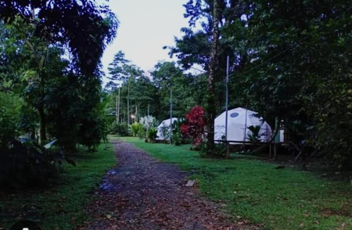 Glamping Naioth Apartment Guapiles Exterior photo