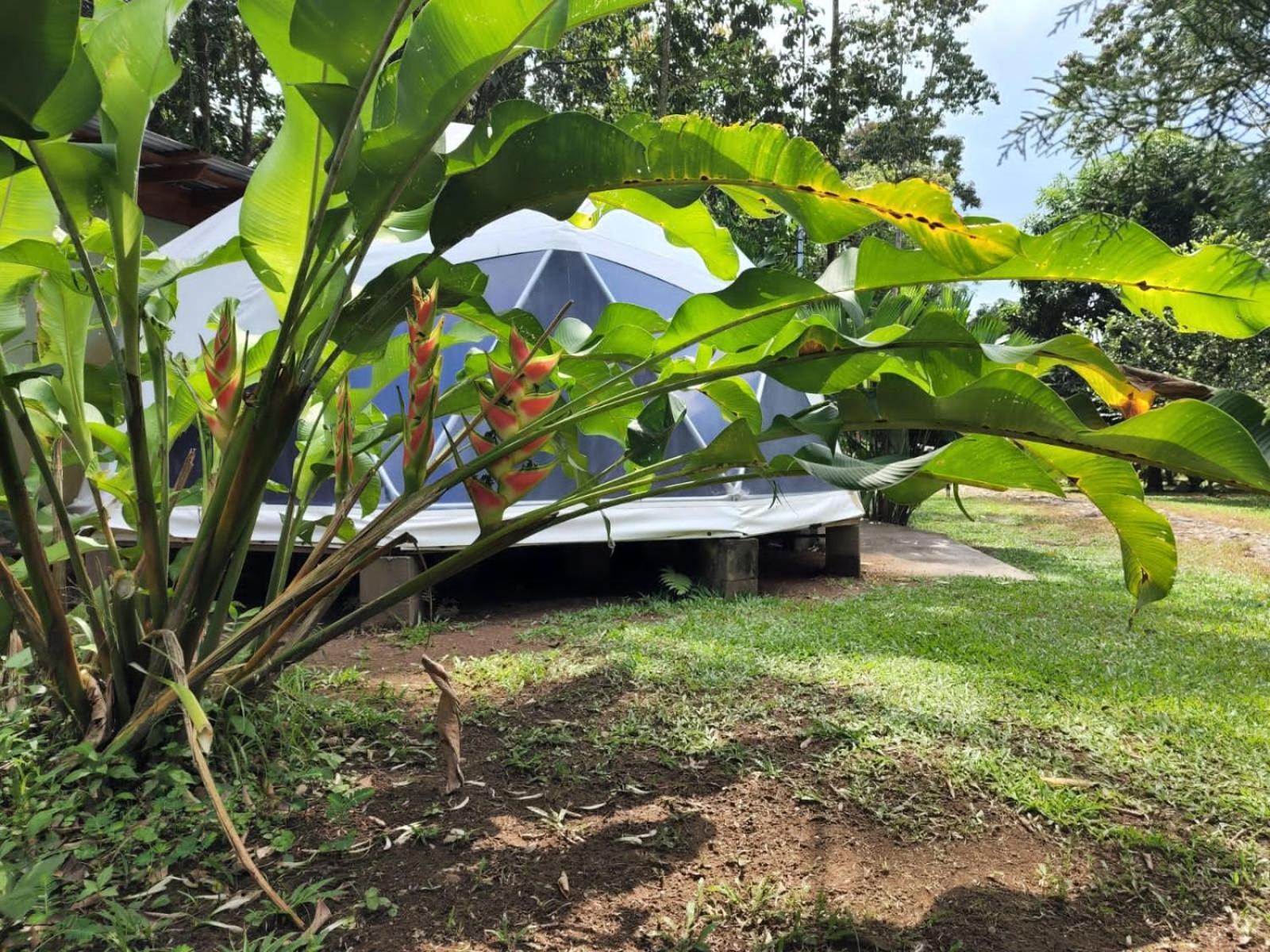 Glamping Naioth Apartment Guapiles Exterior photo