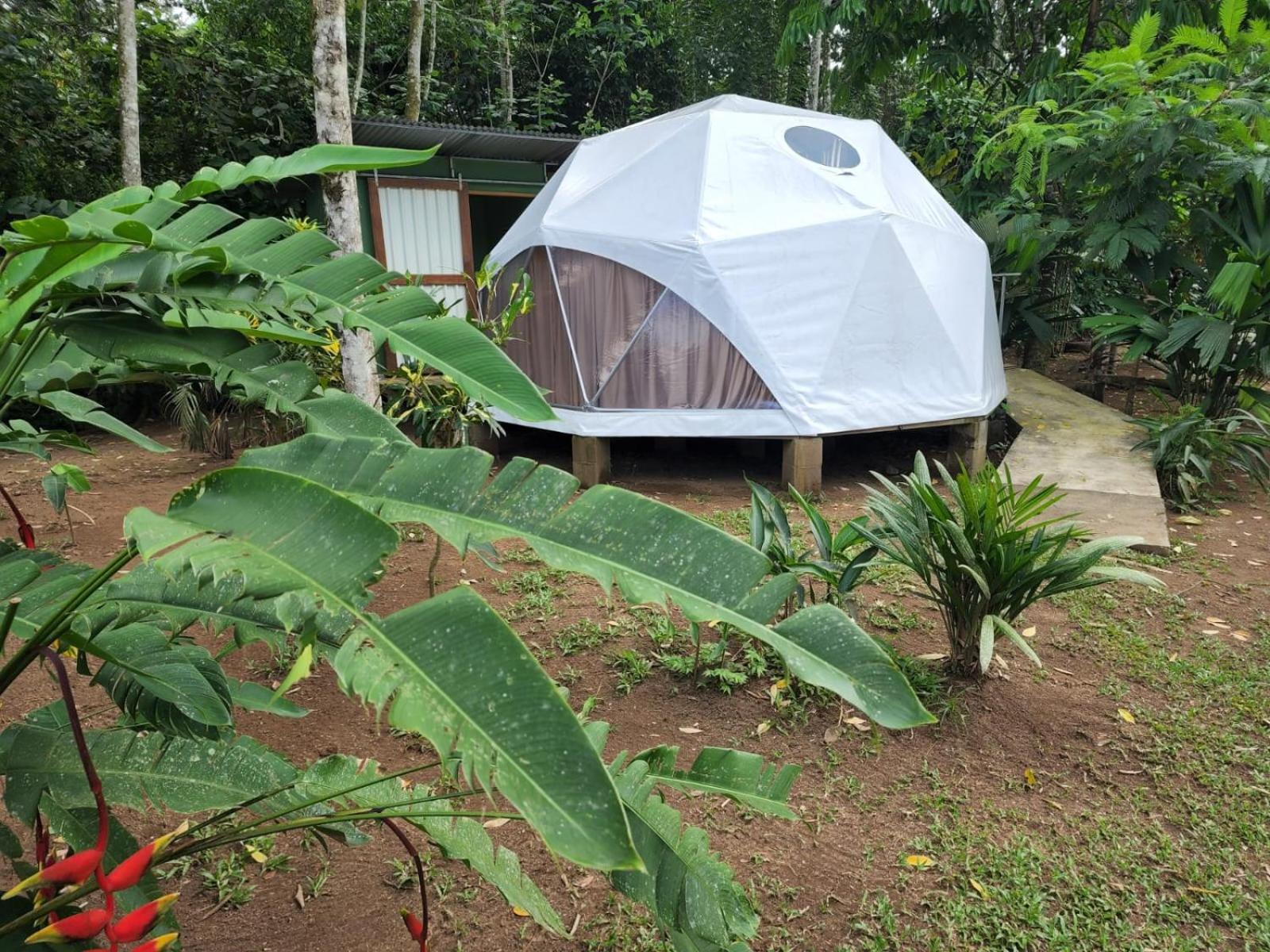 Glamping Naioth Apartment Guapiles Exterior photo