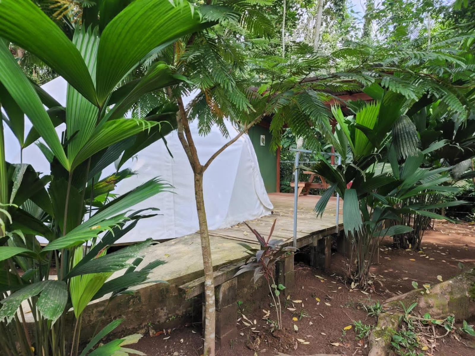 Glamping Naioth Apartment Guapiles Exterior photo