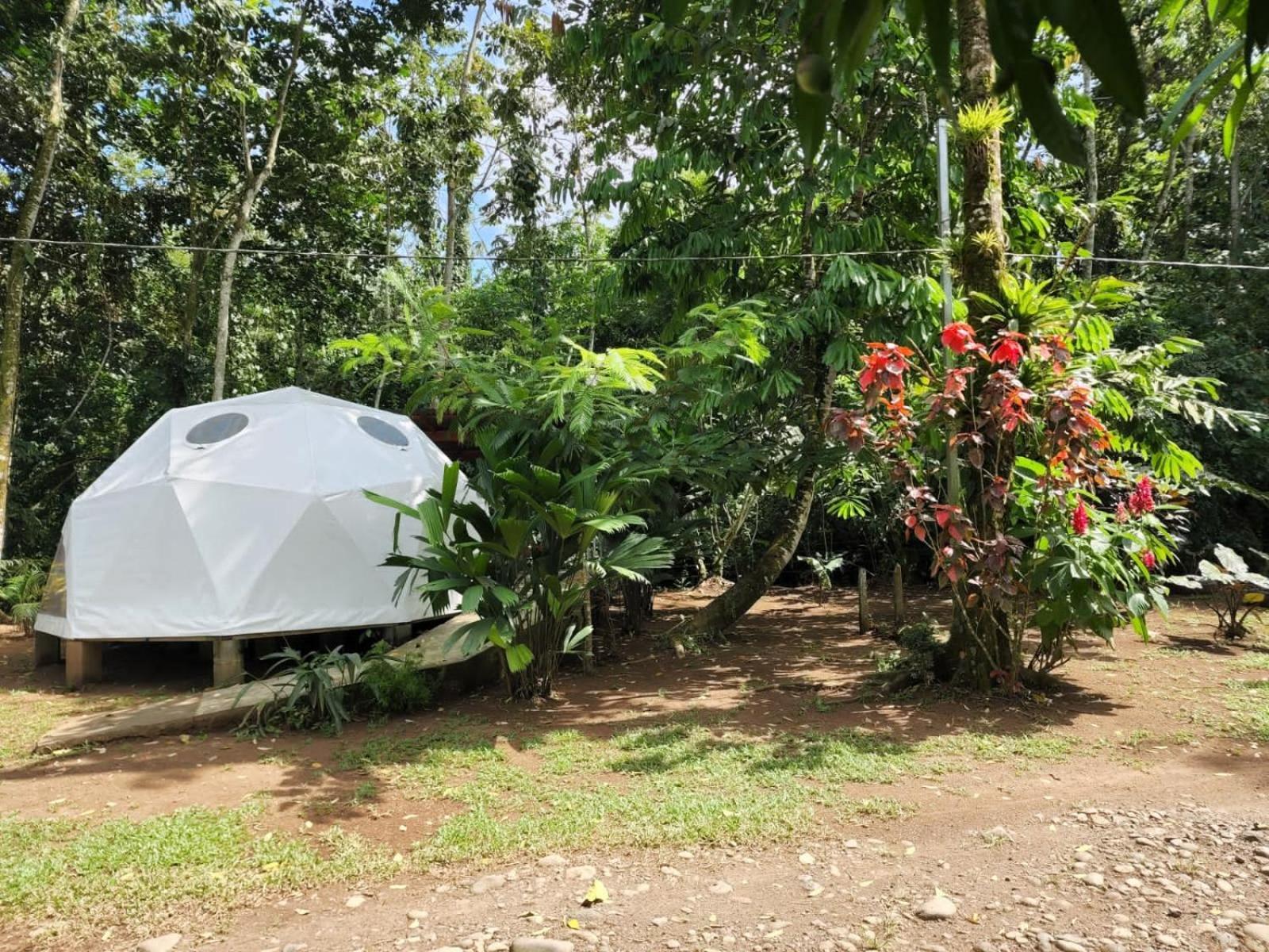 Glamping Naioth Apartment Guapiles Exterior photo