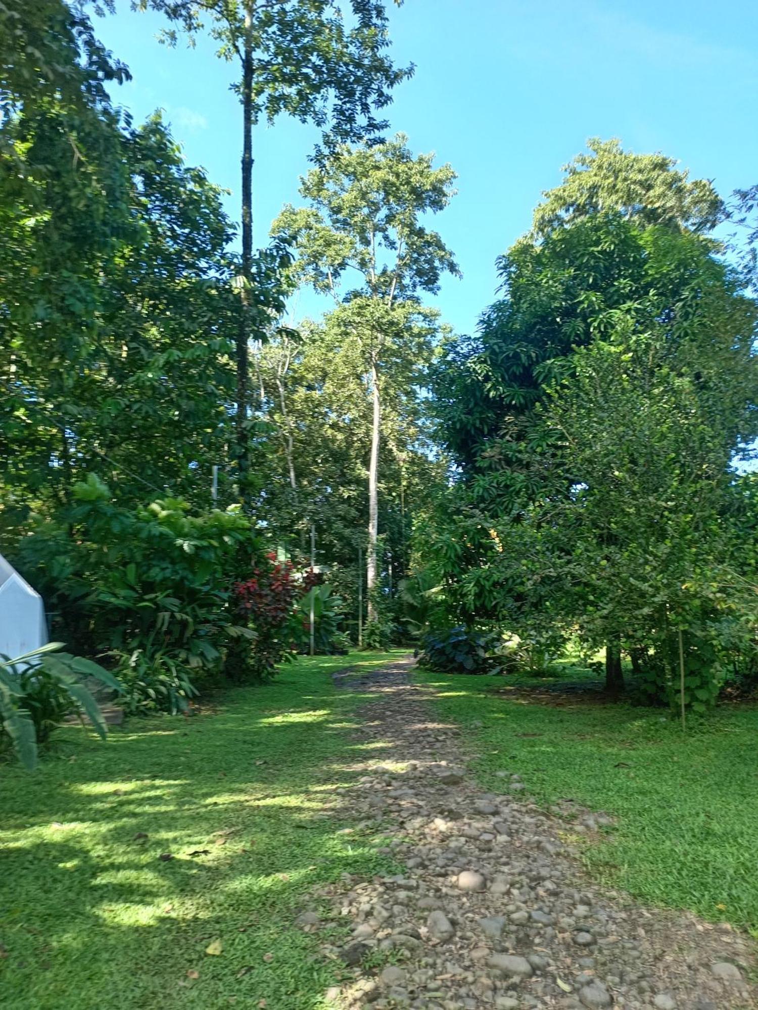 Glamping Naioth Apartment Guapiles Room photo