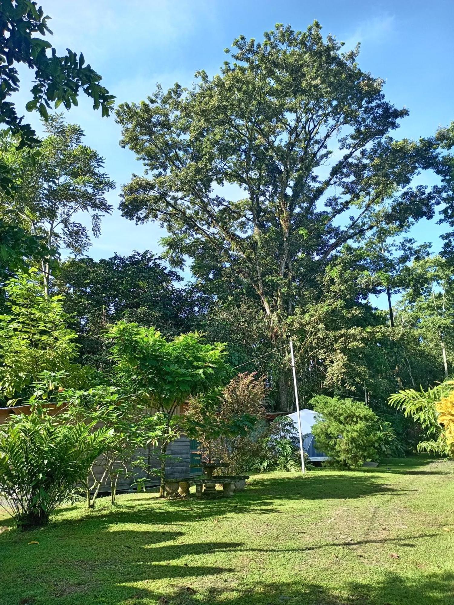 Glamping Naioth Apartment Guapiles Exterior photo